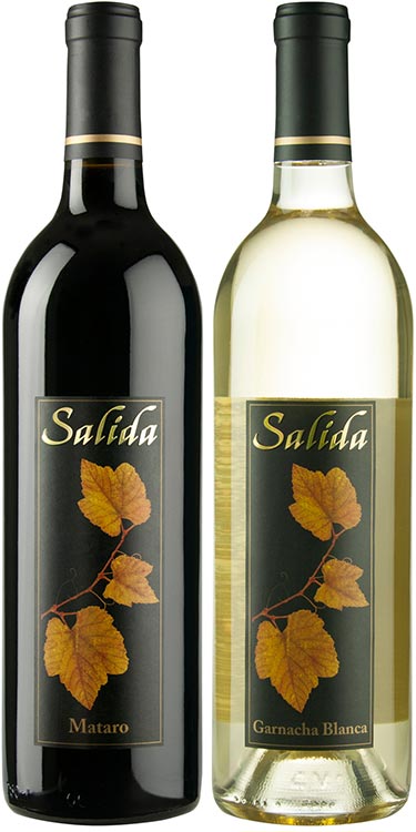 salida-2012-2wines