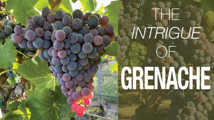 Reviews of Grenache wines from Washington State