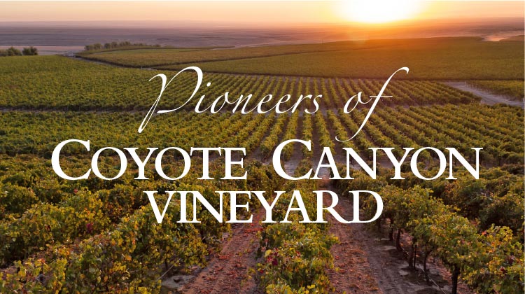 Andrews Family Vineyards, Coyote Canyon Vineyards