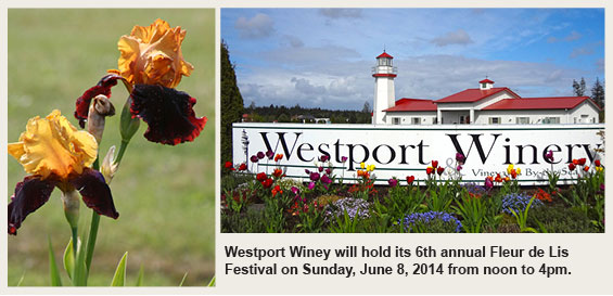 Westport Winery Fleur de Lis Festival